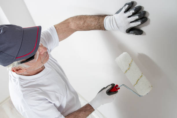 Best Fire-Damaged Drywall Repair  in Panama City, FL